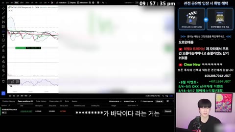 라이브 편집본 표준 레이아웃