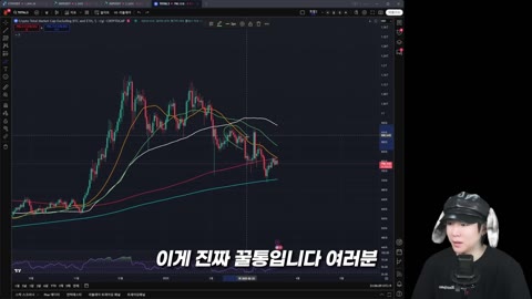단독 튜토리얼 레이아웃 (라이브 아님)